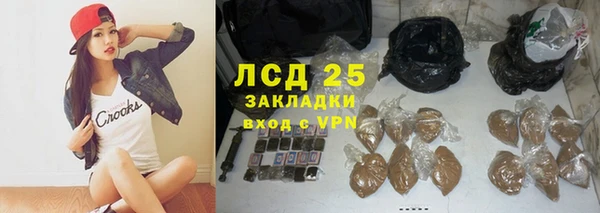 крисы Корсаков