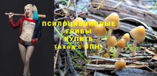 синтетический гашиш Баксан