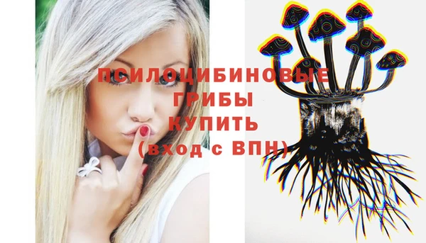 МДПВ Балабаново